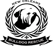 New Orleans Bulldog Rescue